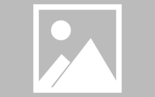 温县诸城定制网站建设（诸城网络科技有限公司）