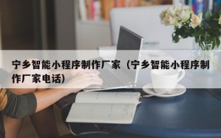 温县宁乡智能小程序制作厂家（宁乡智能小程序制作厂家电话）