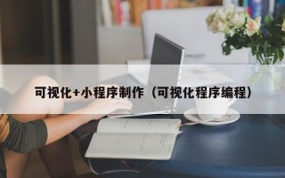温县可视化+小程序制作（可视化程序编程）